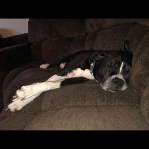 Meet your Posher, Shay